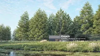 深圳按摩新手速成：避坑指南与入门技巧，让你按得舒服又安心！