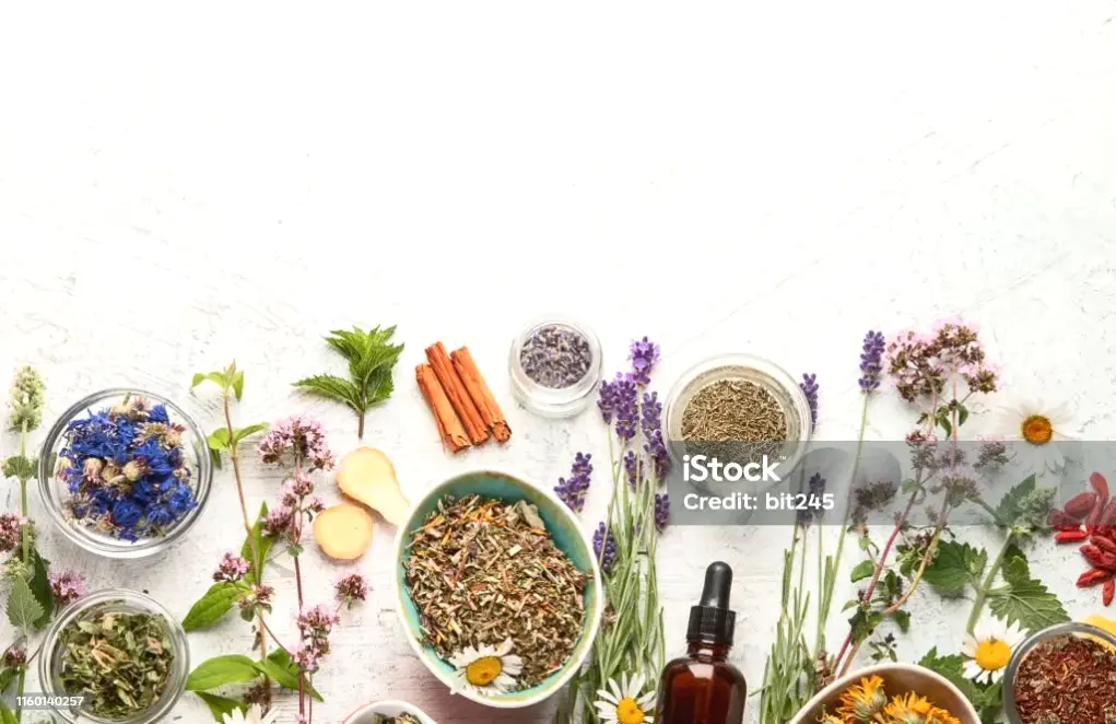 深圳按摩行业新规下的安心放松