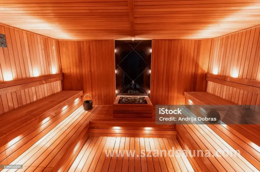 智能桑拿房设备