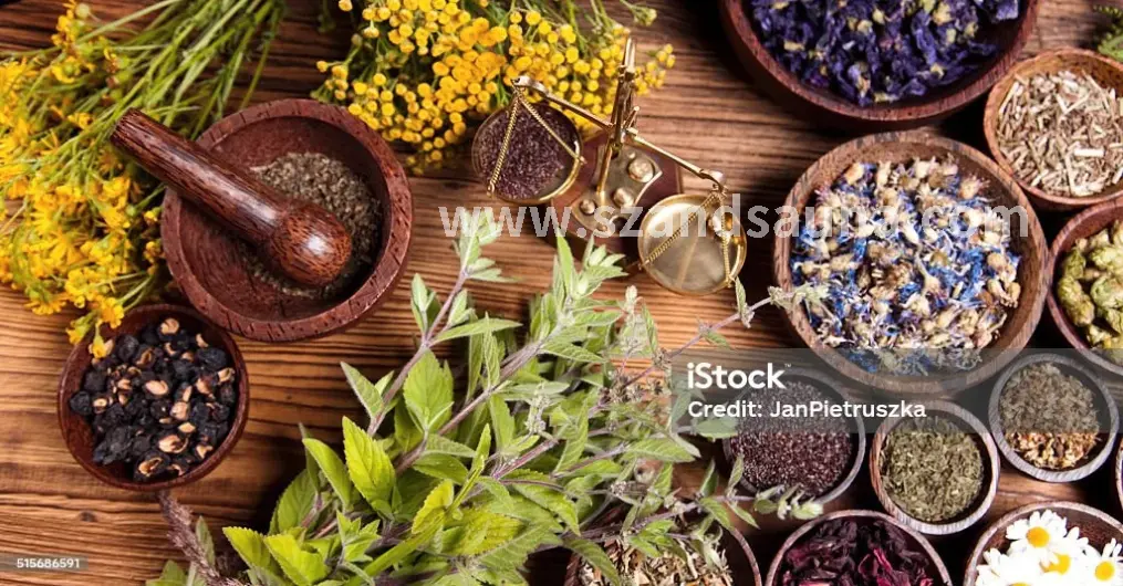 桑拿房内的控制面板