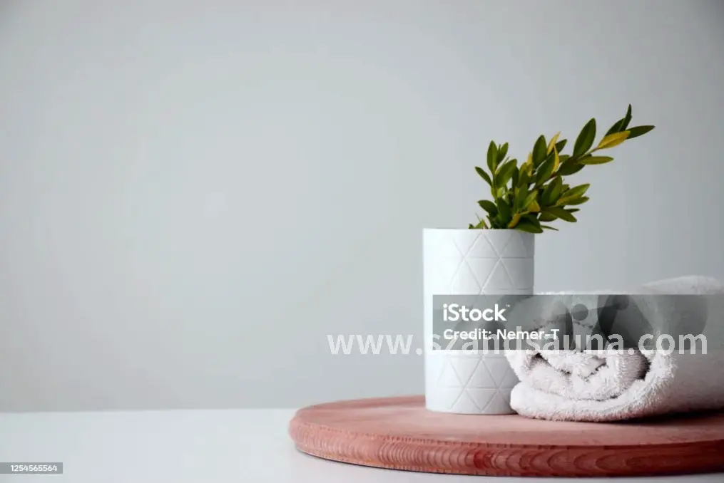 智能桑拿房内部